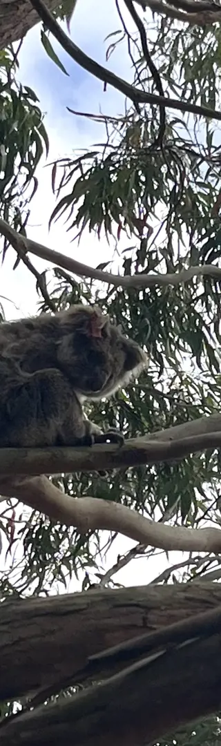 Süsse (und weniger süsse) Nachbarn